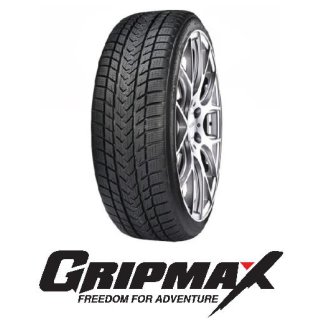 Gripmax Pro Winter XL 205/45 R17 88V